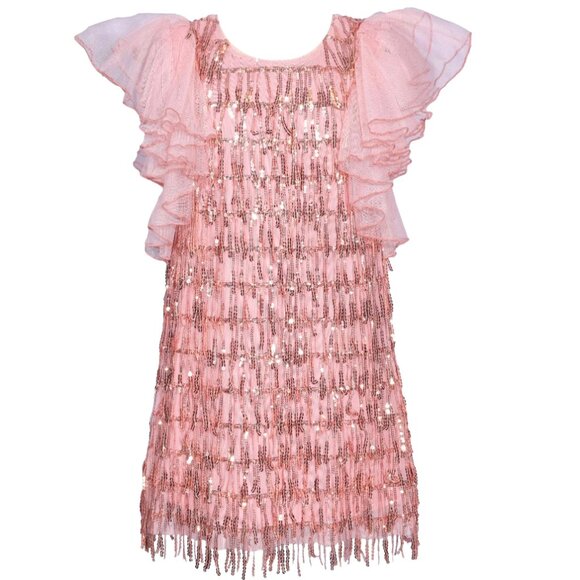 Bonnie Jean Other - NEW Bonnie Jean Girls Size 7-16 Pink Dangling Sequins Chiffon Sleeve Dress